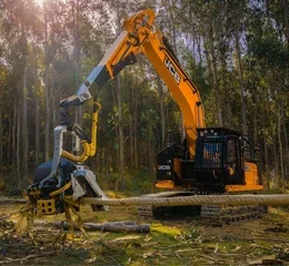 Escavadeira Hidráulica Florestal - JS220F