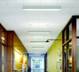 Forro Perla OP (Open Plan)