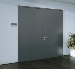 DS Fire Door