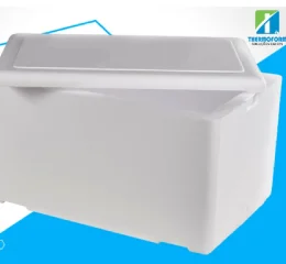 Caixa Térmica de EPS