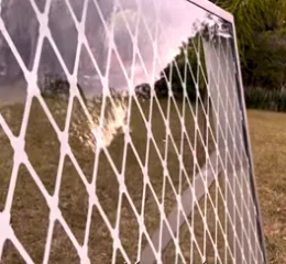 Divinal Bird Protection