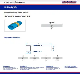 Download de catálogo
