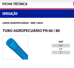 Download de catálogo