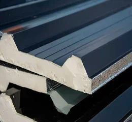 Biopolóis para Painéis Construtivos 