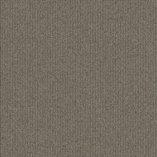 Carpete em Placas New Madison