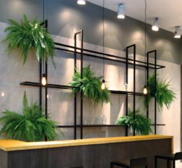 Revestimento Pietra di Savoie