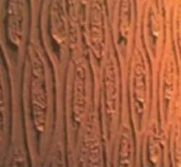 Textura ClassiDesign 