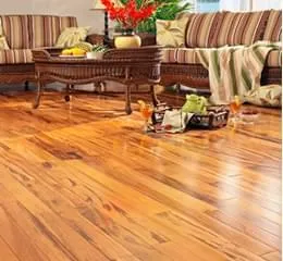    Bonita Collection Silver Plus