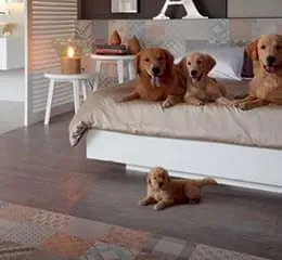 Linha Village - Portobello