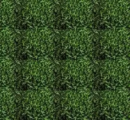 Grama Esmeralda - Gramas Barreti