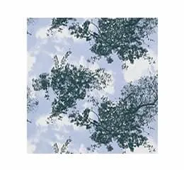 Papel de Parede – Zea