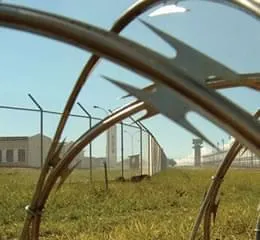 Concertina - Incotela