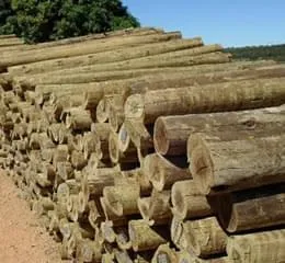 Mourão de Eucalipto