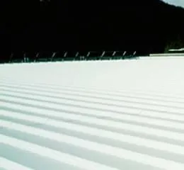 Sistema Acrílico Max Protection