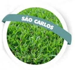 Grama São Carlos - Edegramas
