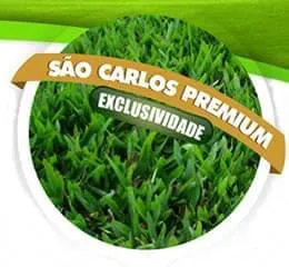 Grama São Carlos Premium