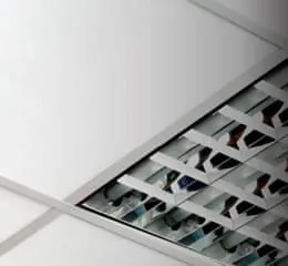 Lã de Pet ISOSOFT® Forro