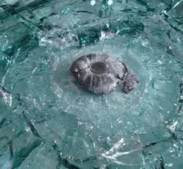 Vidros Blindados - Fanavid