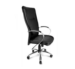 Cadeira Presidente Futura