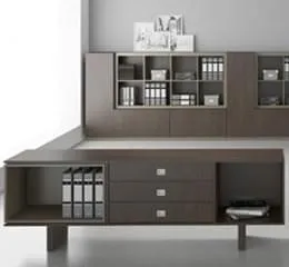 Mesa Executiva Vision