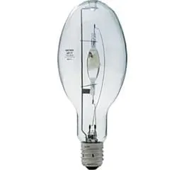 Pulse Start Ovoide Transparente