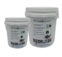 GT-Lock