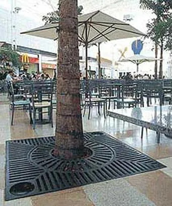 Arvoreiras 150 x 150