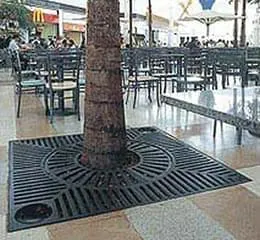 Arvoreiras 150 x 150