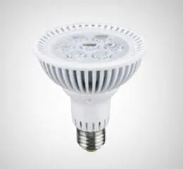 Lâmpada LED PAR30R 7W