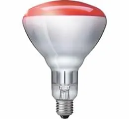 Lâmpada Incandescente para aquecimento Infravermelho Industrial