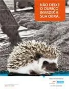 Download de catálogo