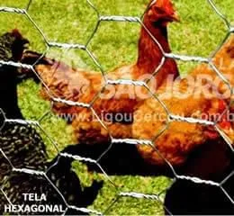 Tela Hexagonal Galvanizada SÃO JORGE