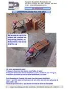 Download de catálogo