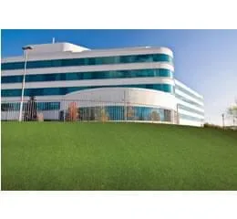 Grama Sintética Country Club