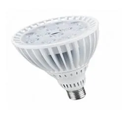 Lâmpada a Led - PAR 38 - 25 graus