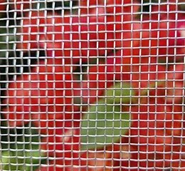 Tela Guará Ciranda Galvanizada