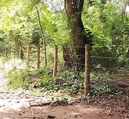 Arame Guará Alta Resistência