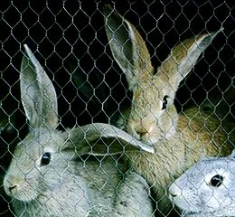 Tela Guará Hexagonal Alta Resistência