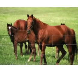 Tela Guará Ovelheira (Campestre) Tripla Galvanização