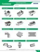 Download de catálogo