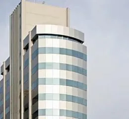 Sistema de Fachada Feal 60