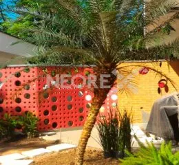 Linha Design - 100 (ZOOM)