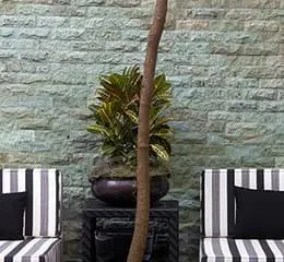 Tijolo de Hijau Bruta