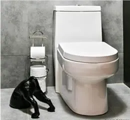 Bacia Sanitária Antares  