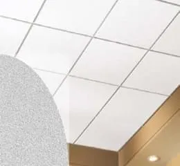 Forro Tegular & Vector 