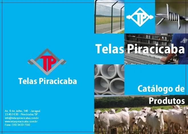 Download de catálogo