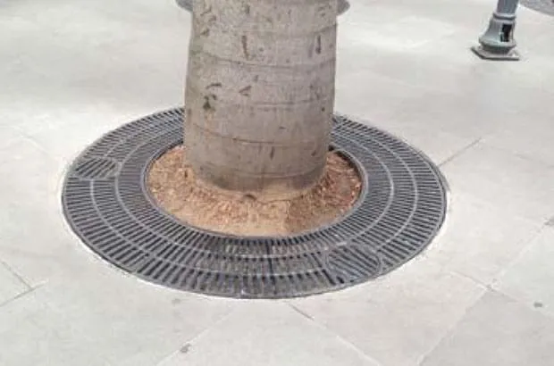 Arvoreira Redonda 1200/1900