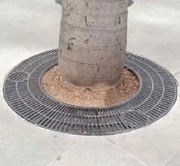 Arvoreira Redonda 1200/1900