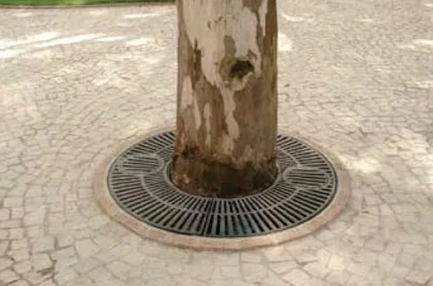 Arvoreira Redonda 1200/1900