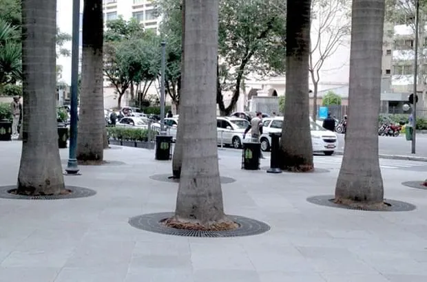 Arvoreira Redonda 1200/1900